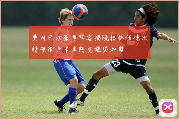 费内巴切豪华阵容揭晓格林伍德坎特领衔卢卡库阿克强势加盟