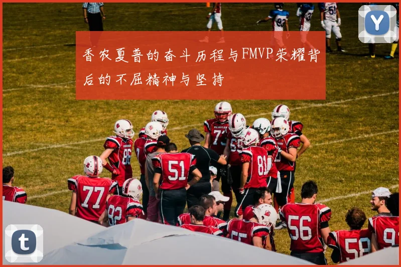 香农夏普的奋斗历程与FMVP荣耀背后的不屈精神与坚持