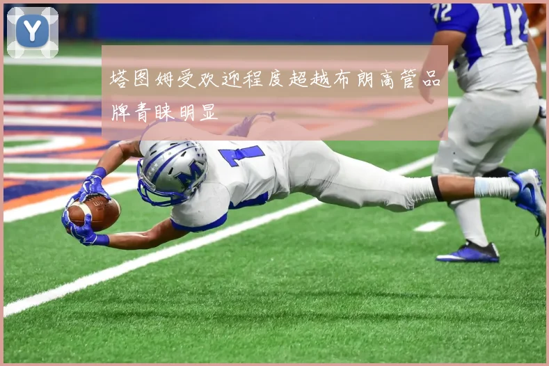 塔图姆受欢迎程度超越布朗高管品牌青睐明显